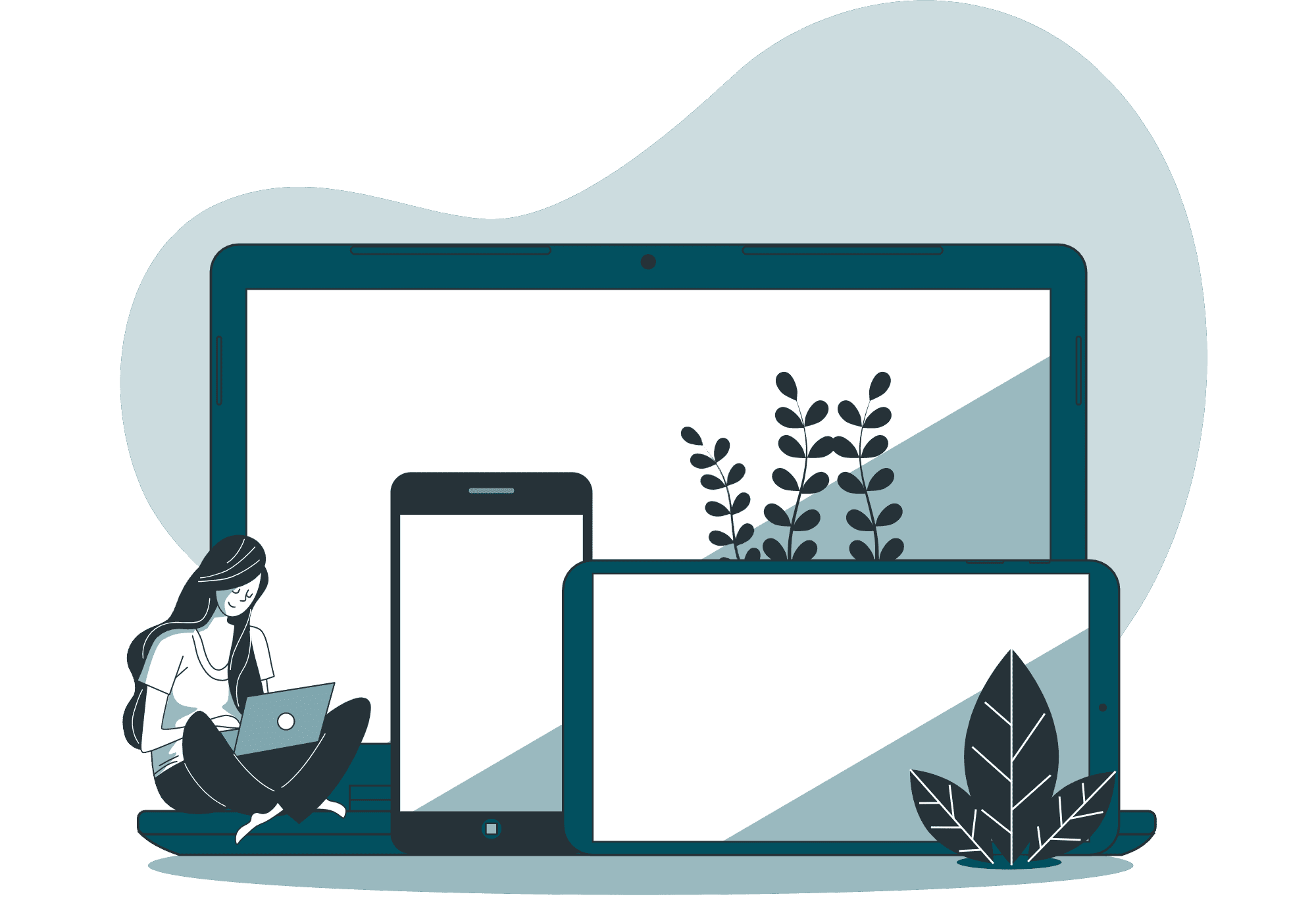 software-devlopment